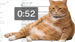 Cara Pasang Cat Gatekeeper, Ekstensi Kucing Oren Pencegah Doomscrolling