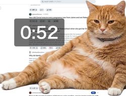 Cara Pasang Cat Gatekeeper, Ekstensi Kucing Oren Pencegah Doomscrolling