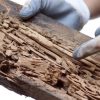 6 Cara Mudah Perawatan Furnitur Kayu dari Rayap ala Anak Kos