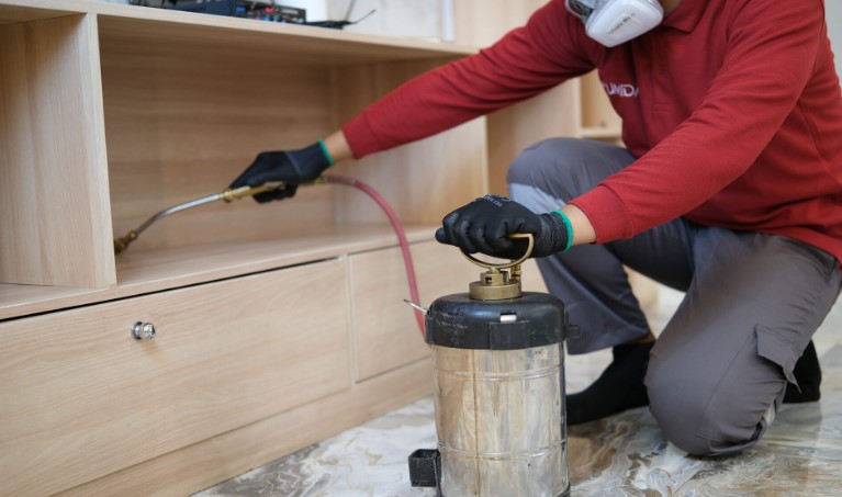 Perawatan Furnitur Kayu dari Rayap 3